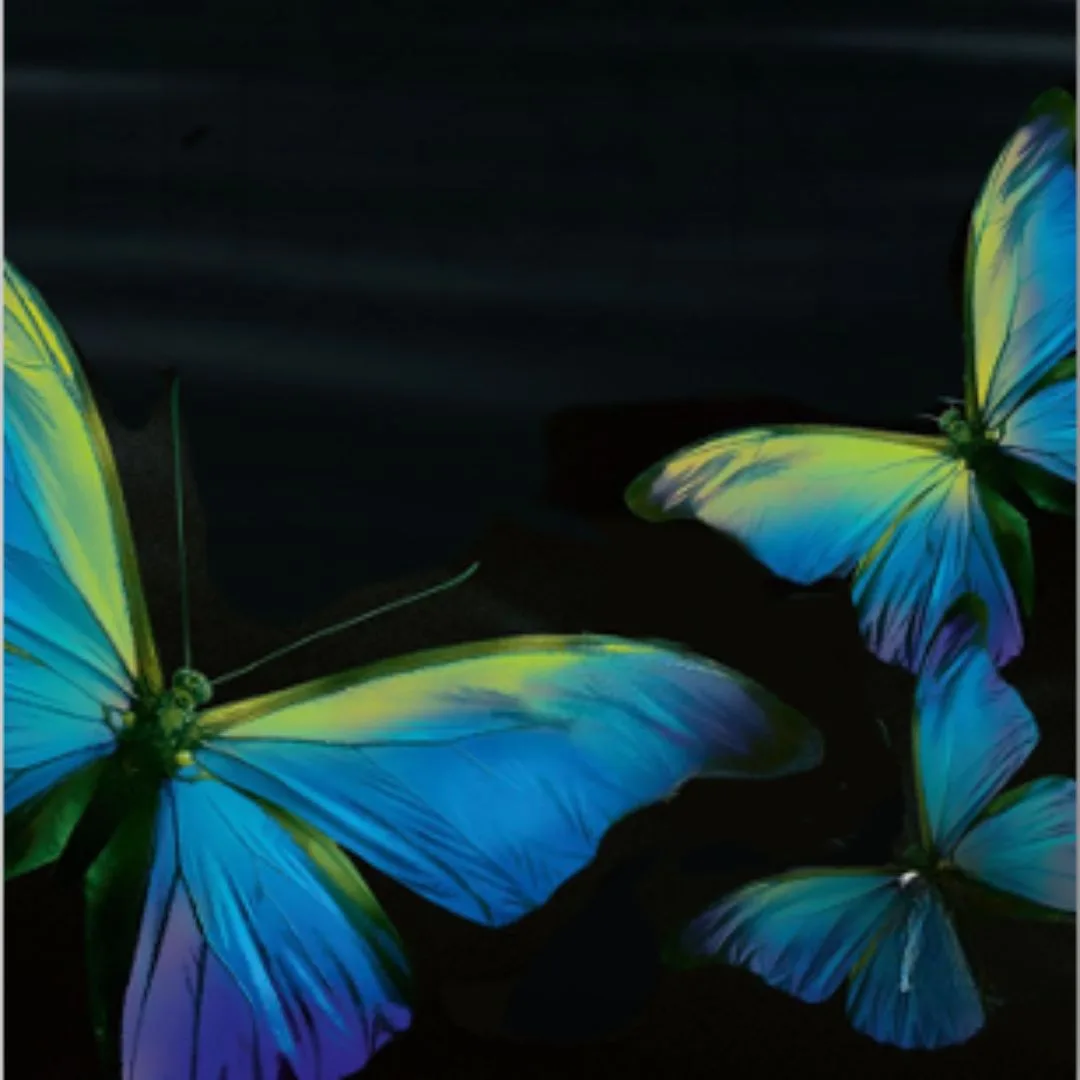 Couverture de ALICE FEENEY