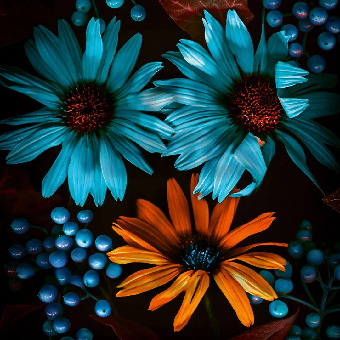 Couverture de CLAIRE MCGOWAN